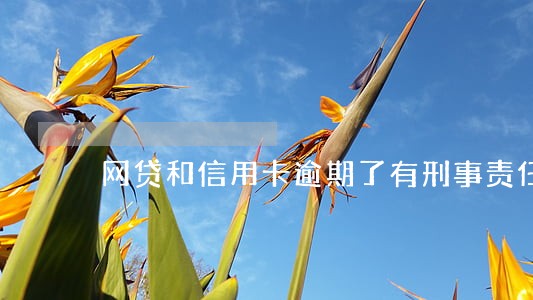 网贷和信用卡逾期了有刑事责任吗