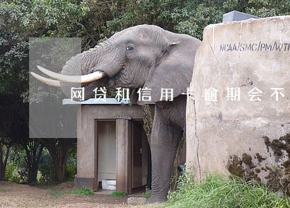 网贷和信用卡逾期会不会失信