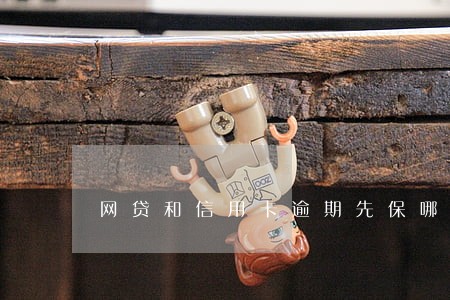 网贷和信用卡逾期先保哪个 网贷和信用卡逾期先保哪个