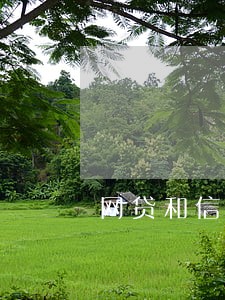 网贷和信用卡逾期哪个危险 网贷和信用卡逾期哪个危险