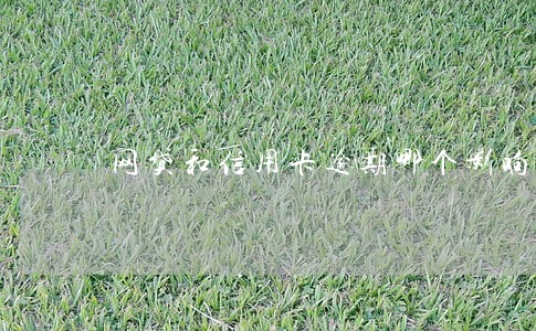 网贷和信用卡逾期哪个影响大