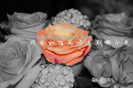网贷和信用卡逾期哪个更可怕 网贷和信用卡逾期哪个更可怕