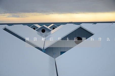 网贷和信用卡逾期有什么问题吗
