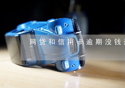 网贷和信用卡逾期没钱还了 网贷和信用卡逾期没钱还了