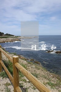 网贷和信用卡逾期过能买车吗 网贷和信用卡逾期过能买车吗