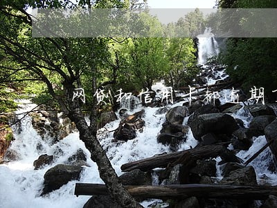 网贷和信用卡都逾期了还哪个好 网贷和信用卡都逾期了还哪个好