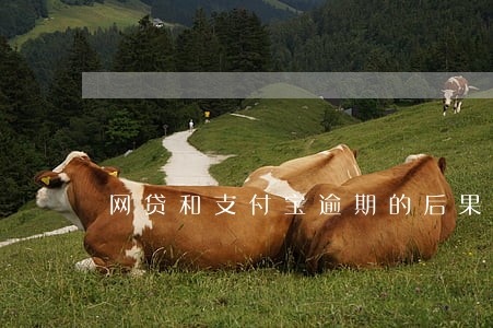 网贷和支付宝逾期的后果