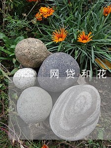 网贷和花呗借呗逾期 网贷和花呗借呗逾期