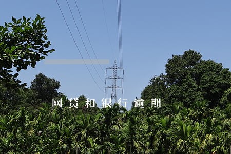 网贷和银行逾期 网贷和银行逾期