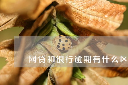网贷和银行逾期有什么区别 网贷和银行逾期有什么区别