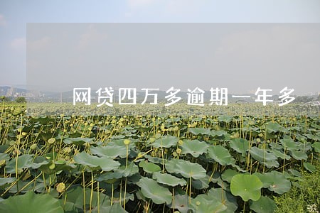 网贷四万多逾期一年多 网贷四万多逾期一年多