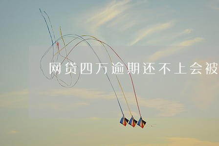 网贷四万逾期还不上会被起诉吗 网贷四万逾期还不上会被起诉吗