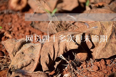 网贷四十多次但未逾期 网贷四十多次但未逾期