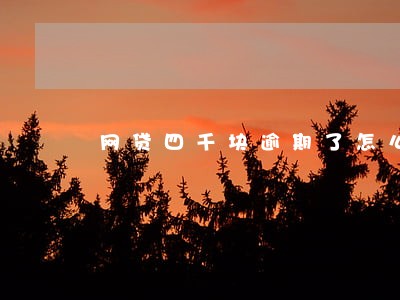 网贷四千块逾期了怎么办 网贷四千块逾期了怎么办