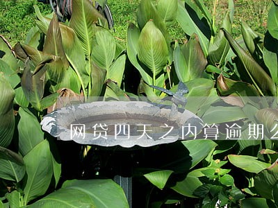 网贷四天之内算逾期么