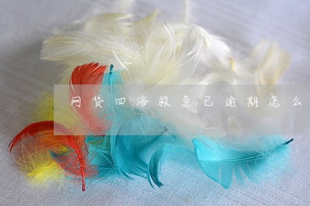 网贷四海救急已逾期怎么办 网贷四海救急已逾期怎么办
