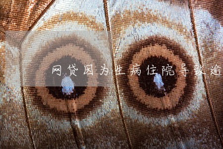 网贷因为生病住院导致逾期 网贷因为生病住院导致逾期