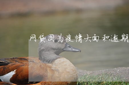 网贷因为疫情大面积逾期