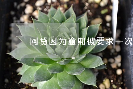 网贷因为逾期被要求一次性提前还 网贷因为逾期被要求一次性提前还