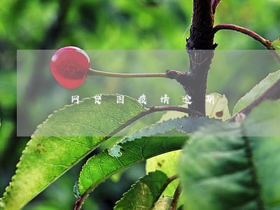 网贷因疫情逾期 网贷因疫情逾期