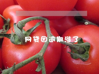 网贷因逾期涨了 网贷因逾期涨了