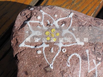 网贷国家规定逾期 网贷国家规定逾期