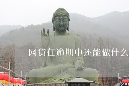 网贷在逾期中还能做什么网贷 网贷在逾期中还能做什么网贷