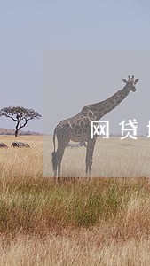 网贷坏账和逾期有什么不同 网贷坏账和逾期有什么不同