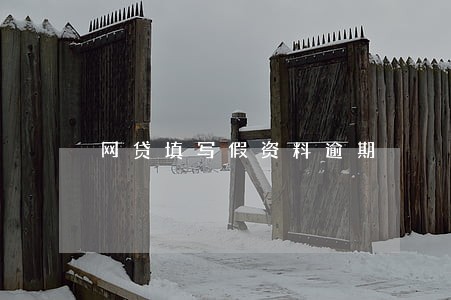 网贷填写假资料逾期 网贷填写假资料逾期