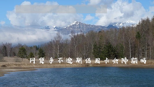 网贷多不逾期信用卡会降额吗