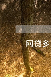 网贷多久为逾期 网贷多久为逾期