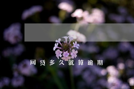 网贷多久就算逾期 网贷多久就算逾期