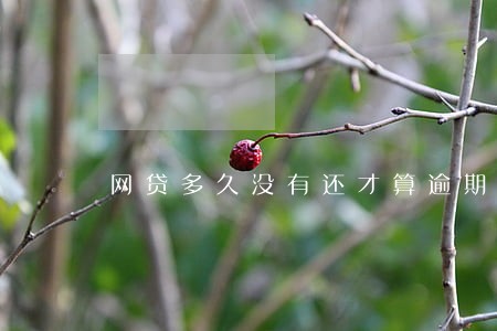 网贷多久没有还才算逾期 网贷多久没有还才算逾期