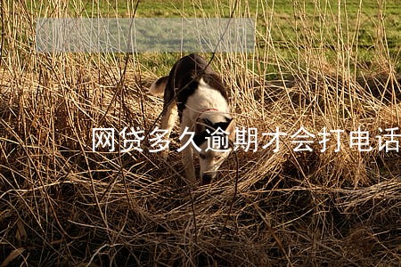 网贷多久逾期才会打电话 网贷多久逾期才会打电话