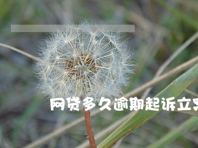 网贷多久逾期起诉立案标准 网贷多久逾期起诉立案标准