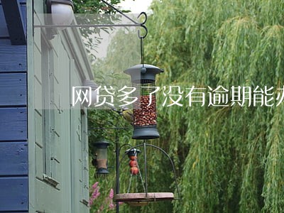 网贷多了没有逾期能办信用卡吗