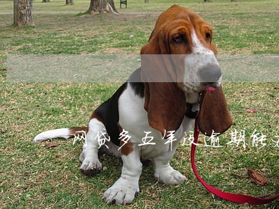 网贷多五年没逾期能办房贷