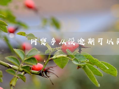 网贷多从没逾期可以买车吗 网贷多从没逾期可以买车吗