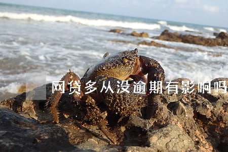网贷多从没逾期有影响吗 网贷多从没逾期有影响吗