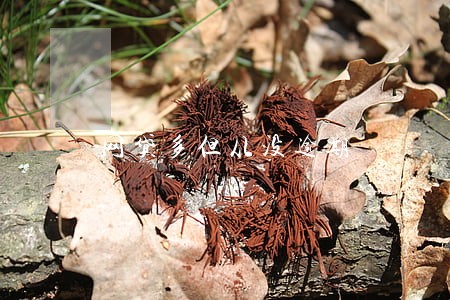 网贷多但从没逾期 网贷多但从没逾期
