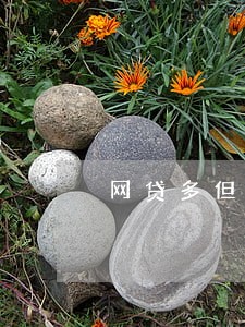 网贷多但无逾期记录 网贷多但无逾期记录
