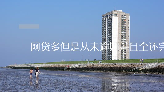 网贷多但是从未逾期并且全还完了 网贷多但是从未逾期并且全还完了