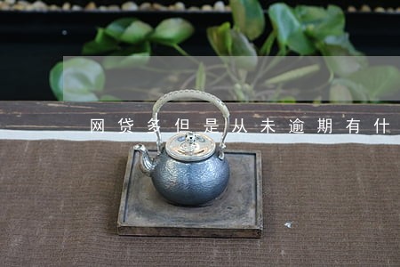 网贷多但是从未逾期有什么影响么 网贷多但是从未逾期有什么影响么