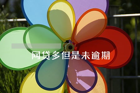 网贷多但是未逾期 网贷多但是未逾期