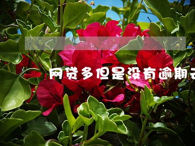 网贷多但是没有逾期去哪贷款 网贷多但是没有逾期去哪贷款