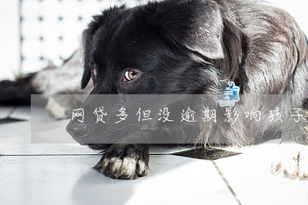 网贷多但没逾期影响孩子吗 网贷多但没逾期影响孩子吗