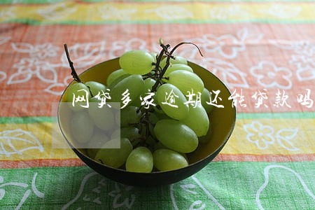网贷多家逾期还能贷款吗 网贷多家逾期还能贷款吗