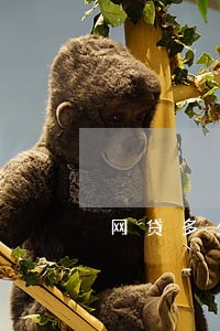 网贷多少人逾期不还 网贷多少人逾期不还