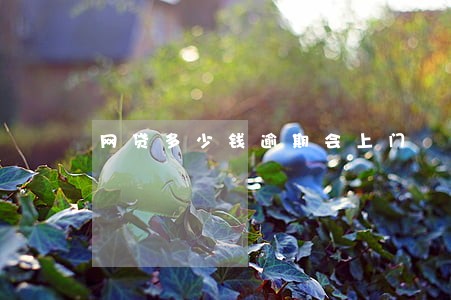 网贷多少钱逾期会上门 网贷多少钱逾期会上门