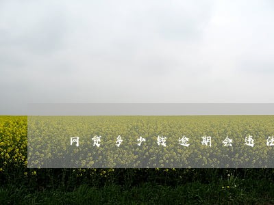 网贷多少钱逾期会违法 网贷多少钱逾期会违法
